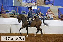 14r12_3309 proof