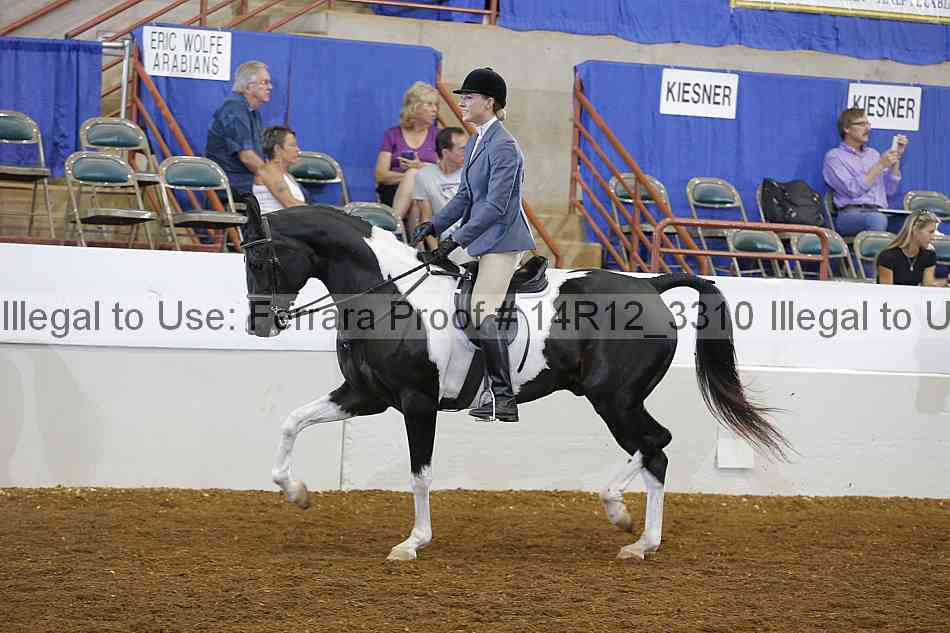 Proof 14r12_3310