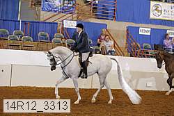 14r12_3313 proof