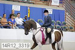 14r12_3319 proof