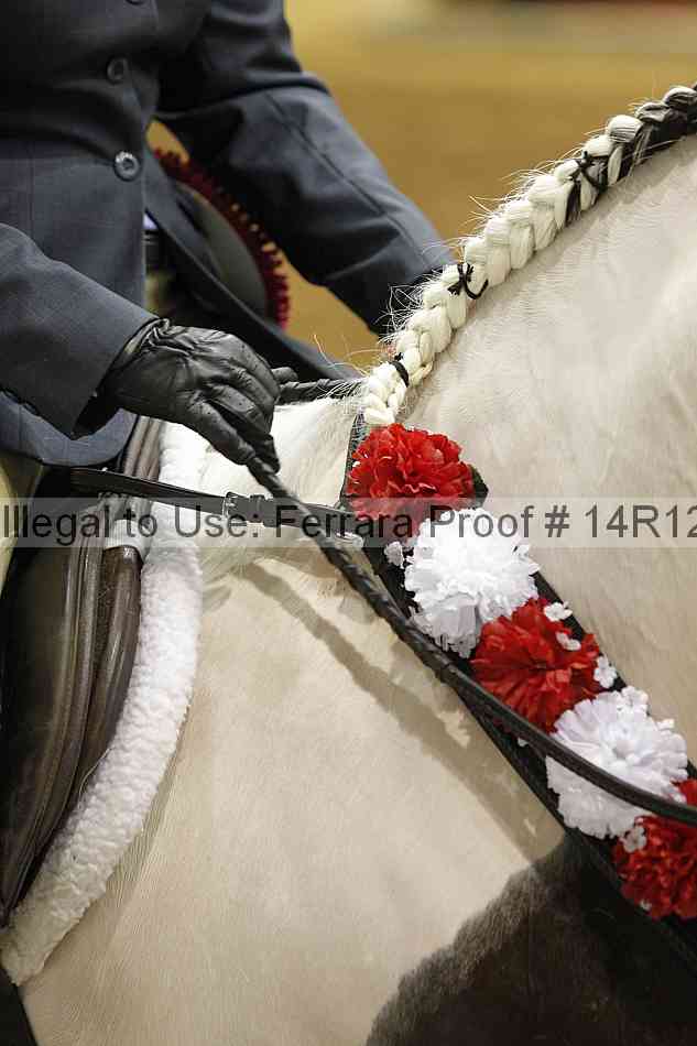 Proof 14r12_3326