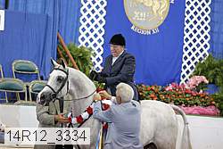 14r12_3334 proof