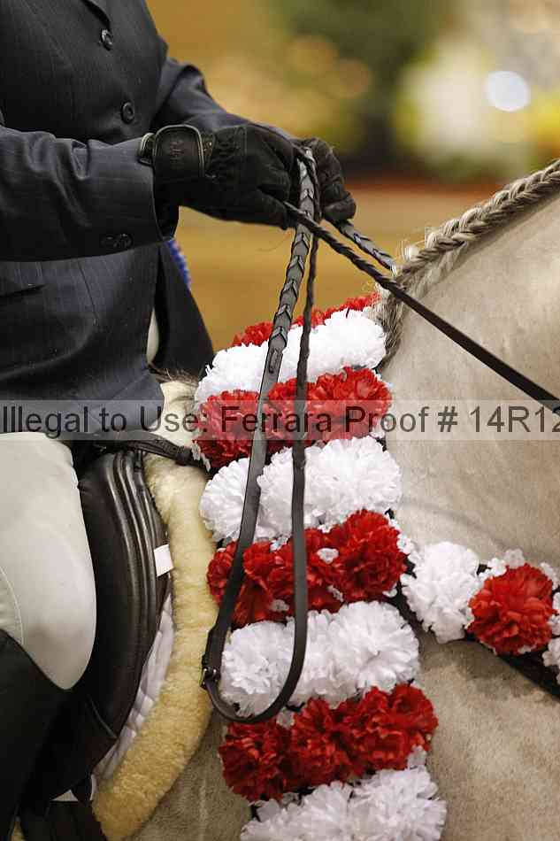 Proof 14r12_3337