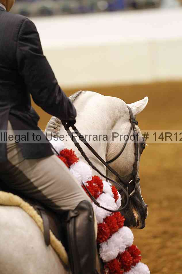 Proof 14r12_3338