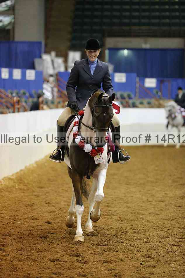 Proof 14r12_3353
