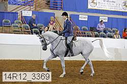 14r12_3369 proof