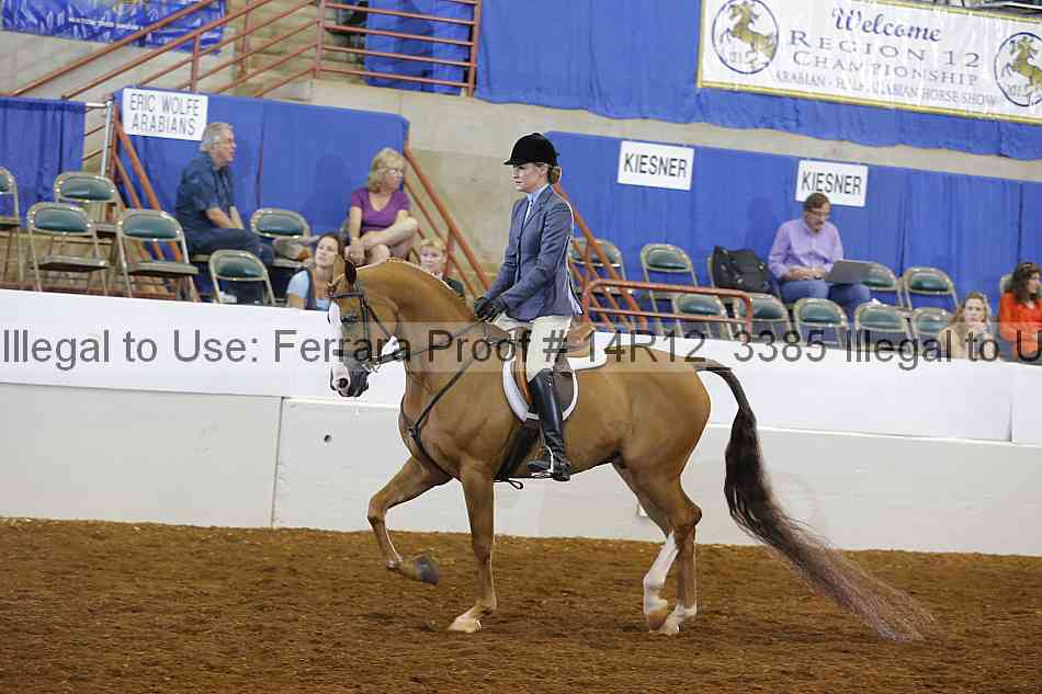 Proof 14r12_3385