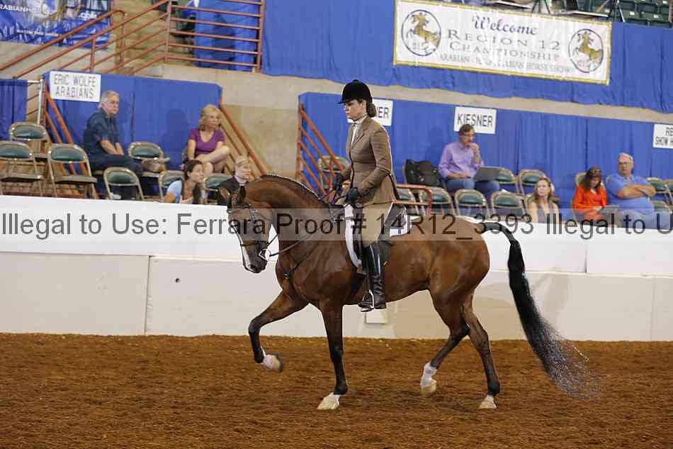 Proof 14r12_3393
