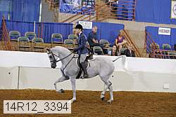 14r12_3394 proof