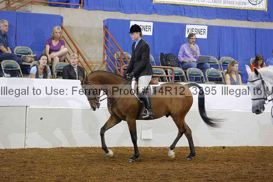 Proof 14r12_3395