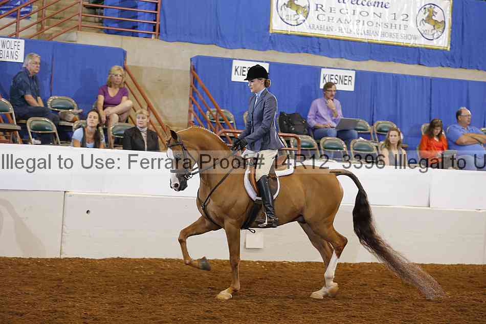 Proof 14r12_3396