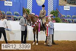 14r12_3399 proof