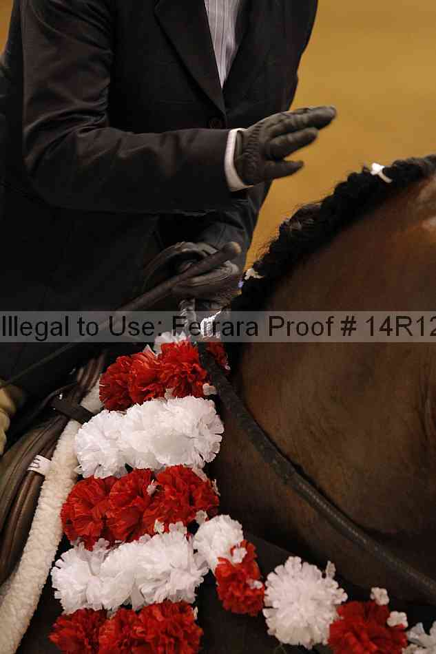 Proof 14r12_3405