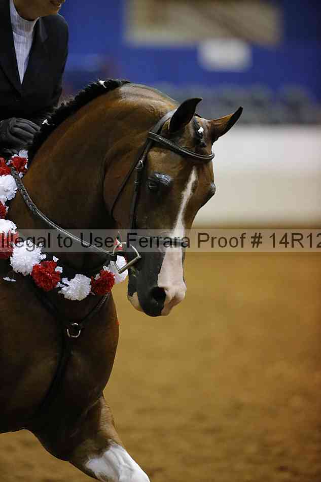 Proof 14r12_3407