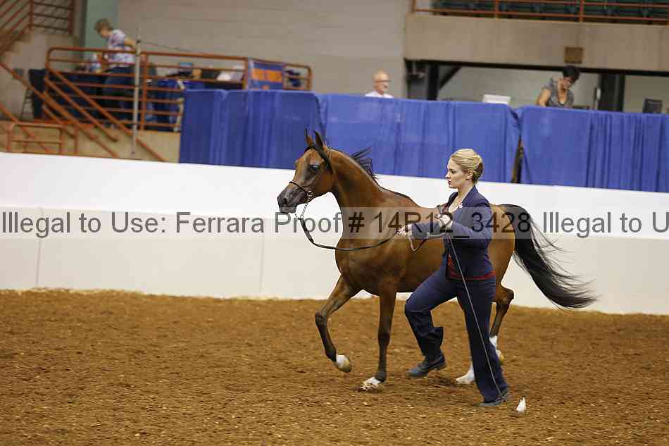 Proof 14r12_3428