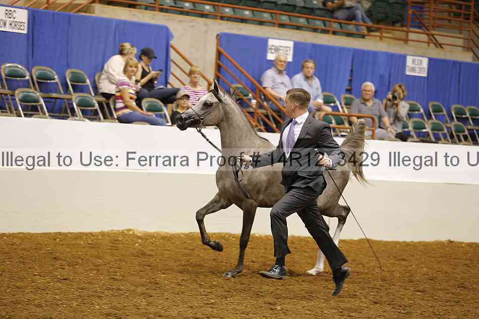Proof 14r12_3429