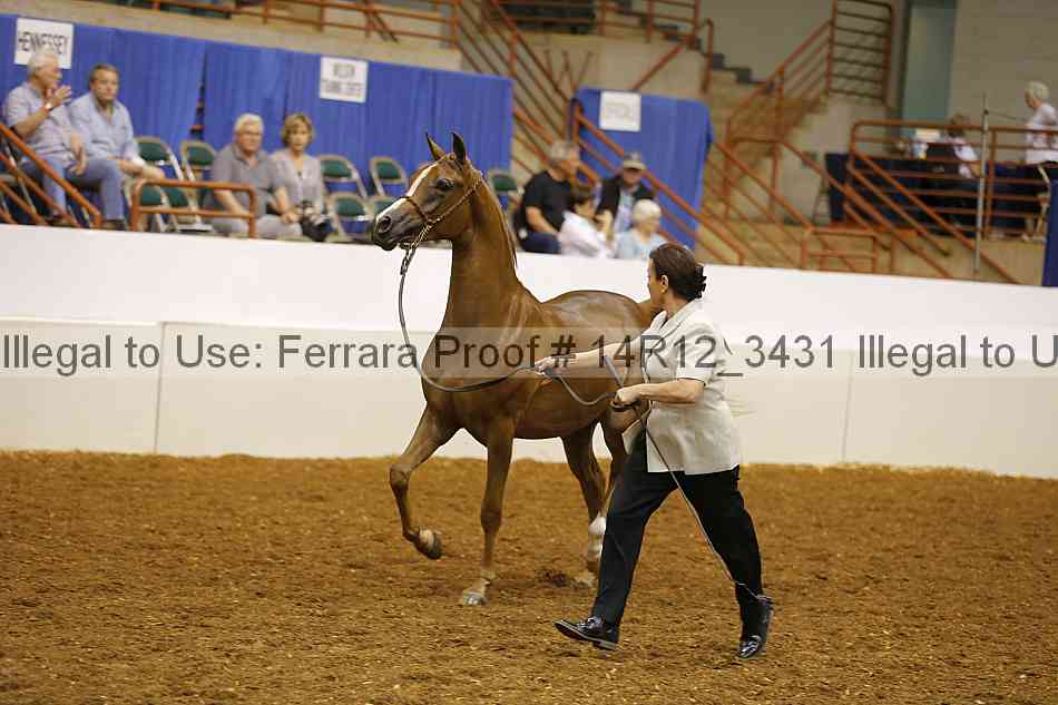 Proof 14r12_3431
