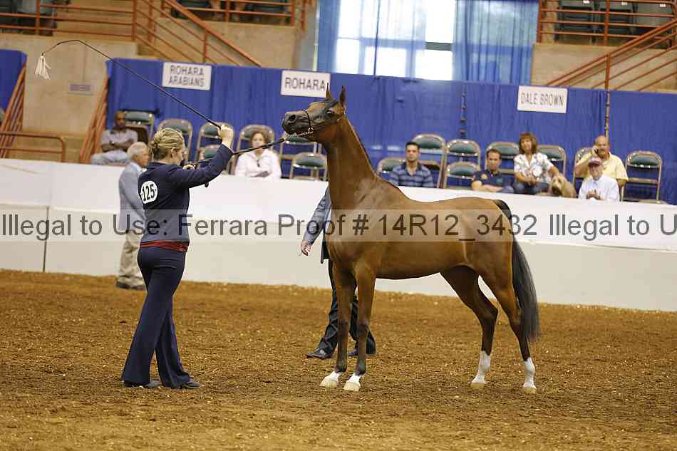 Proof 14r12_3432