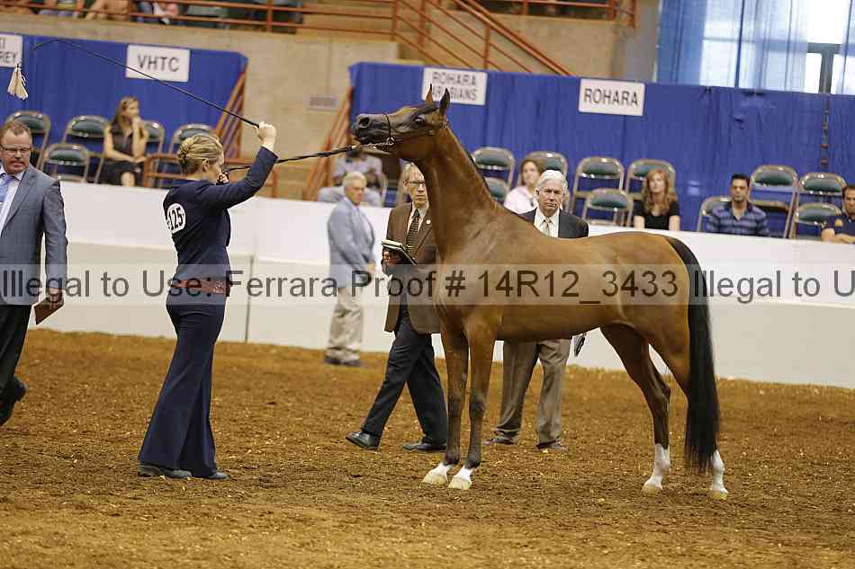 Proof 14r12_3433