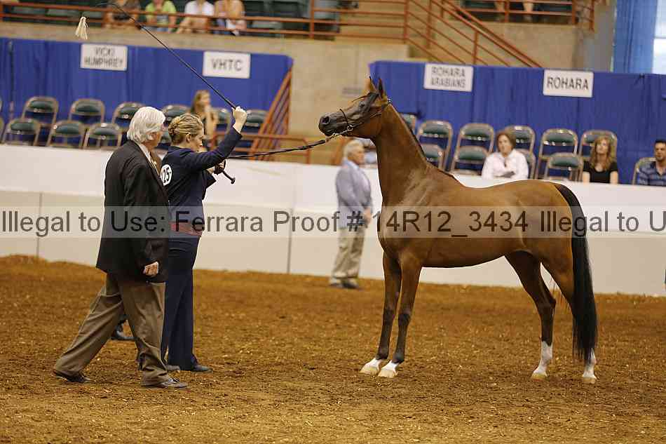 Proof 14r12_3434