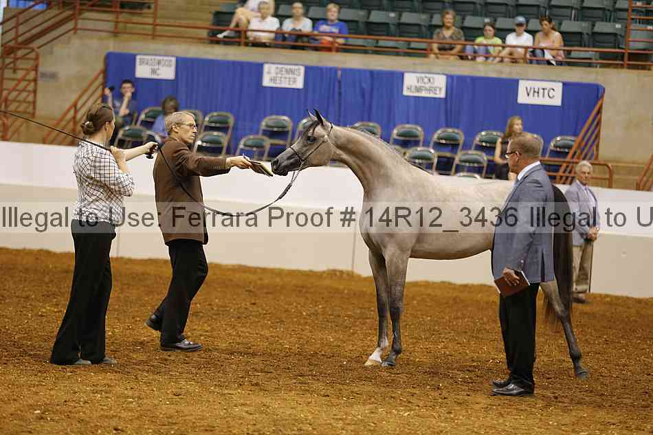 Proof 14r12_3436