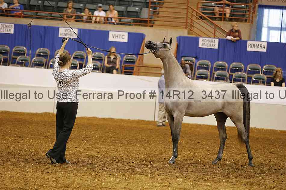 Proof 14r12_3437