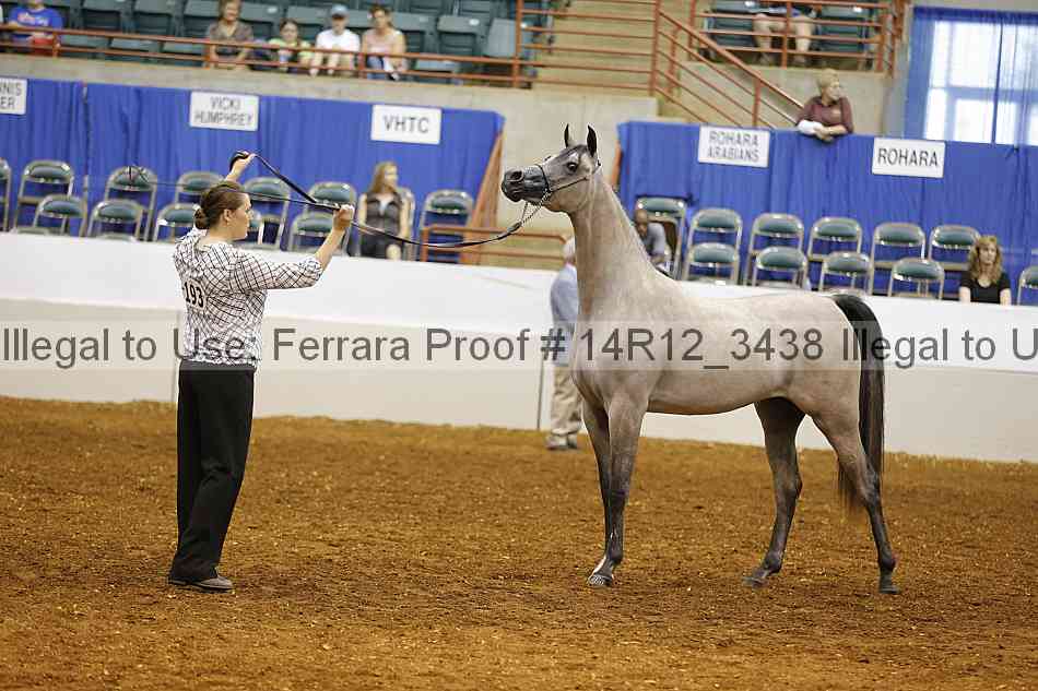 Proof 14r12_3438