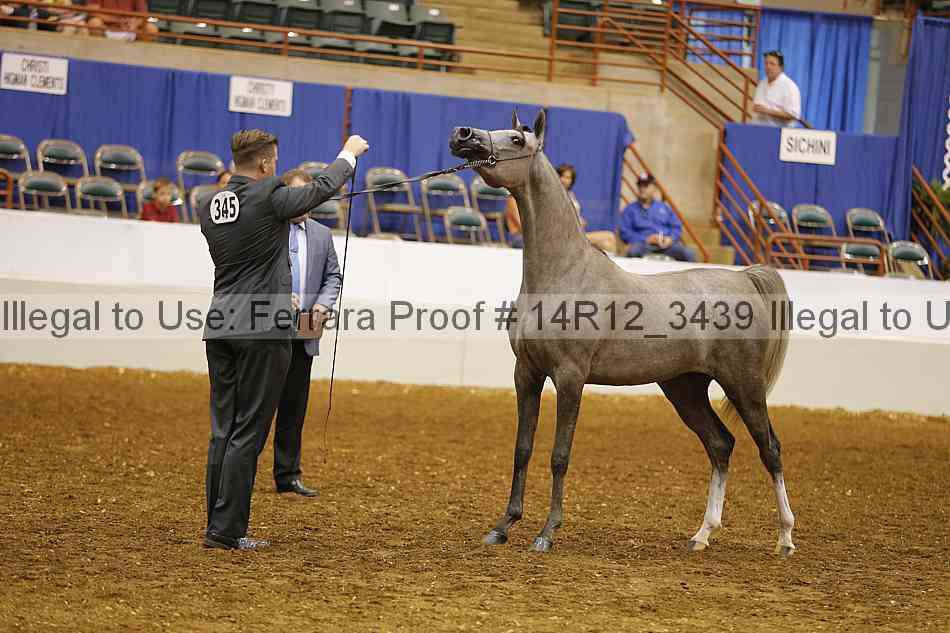 Proof 14r12_3439