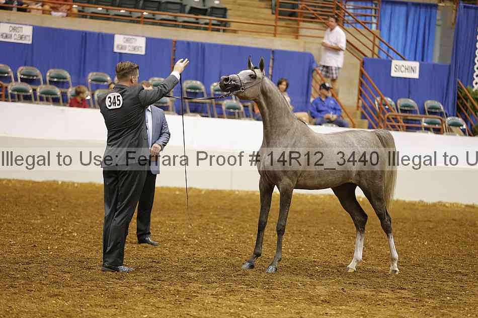 Proof 14r12_3440