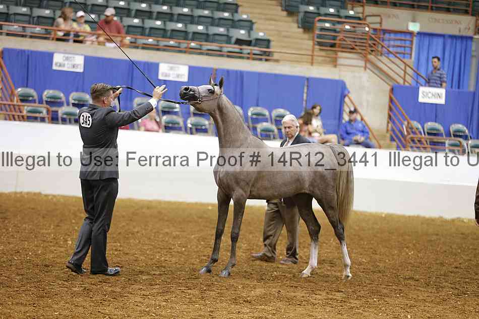 Proof 14r12_3441