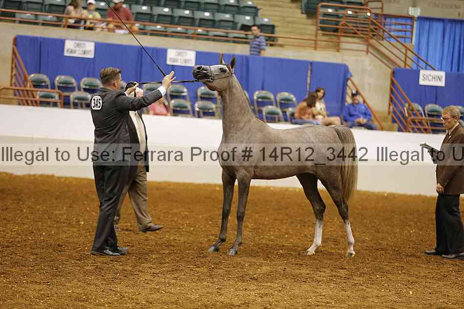 Proof 14r12_3442