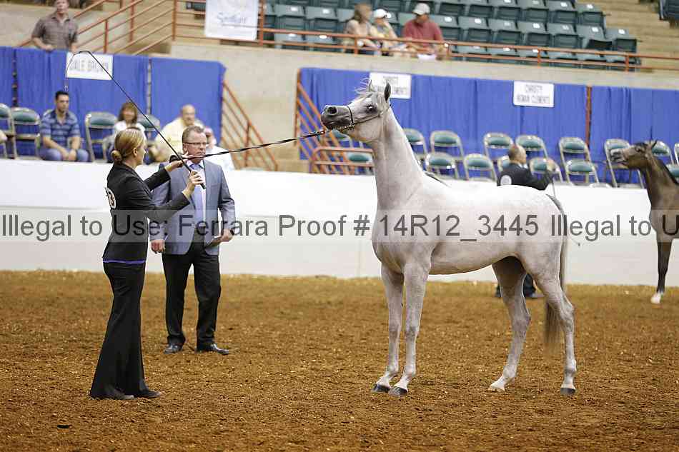Proof 14r12_3445