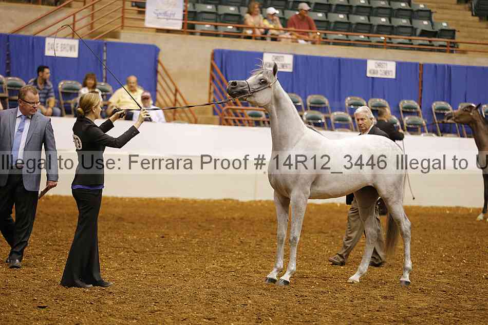 Proof 14r12_3446