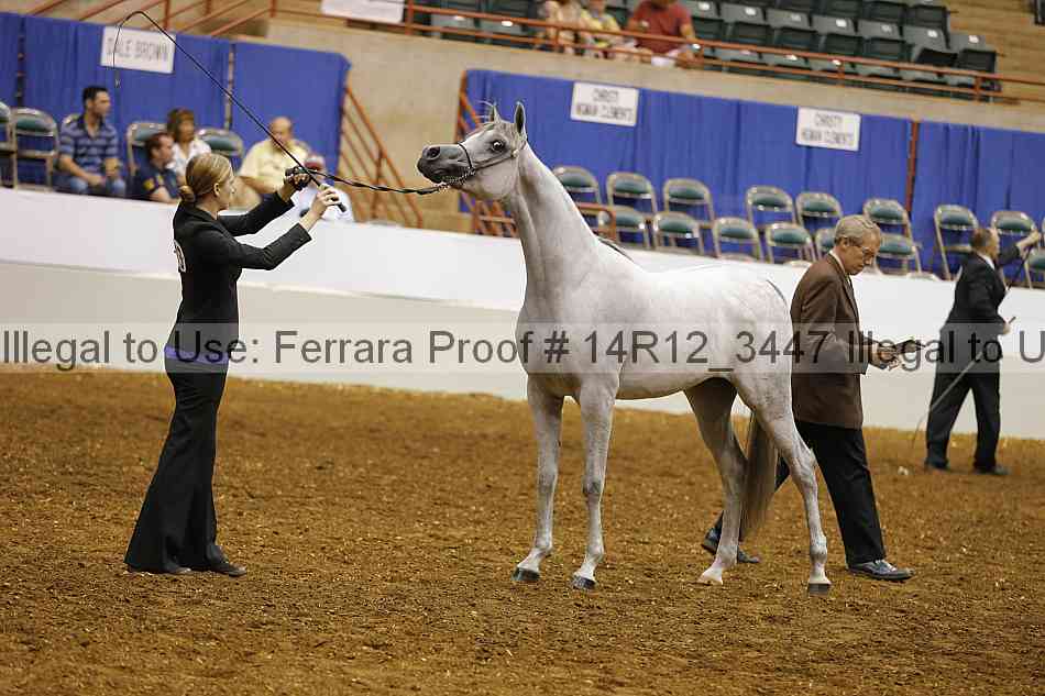 Proof 14r12_3447