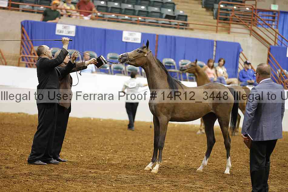 Proof 14r12_3448