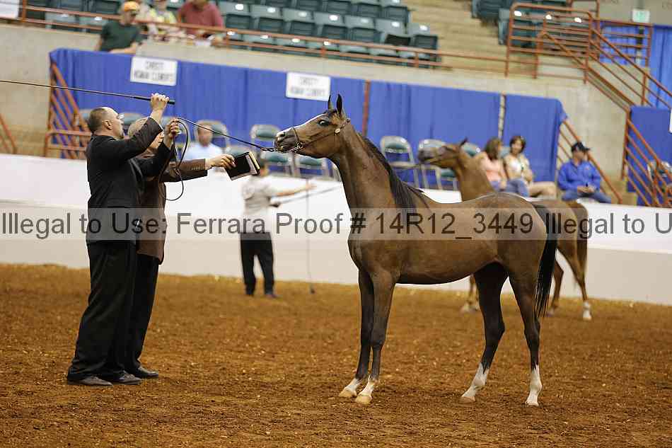Proof 14r12_3449