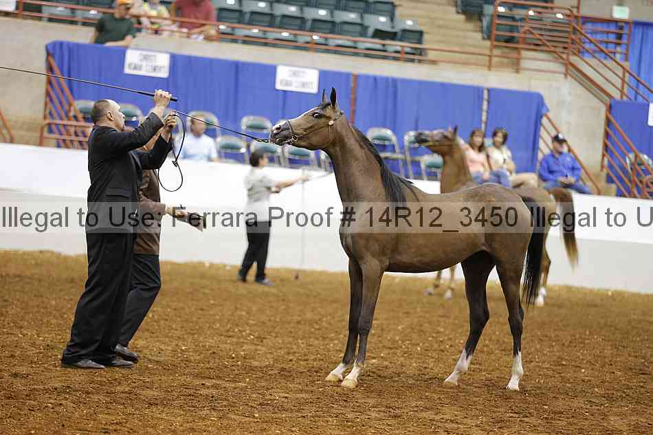 Proof 14r12_3450