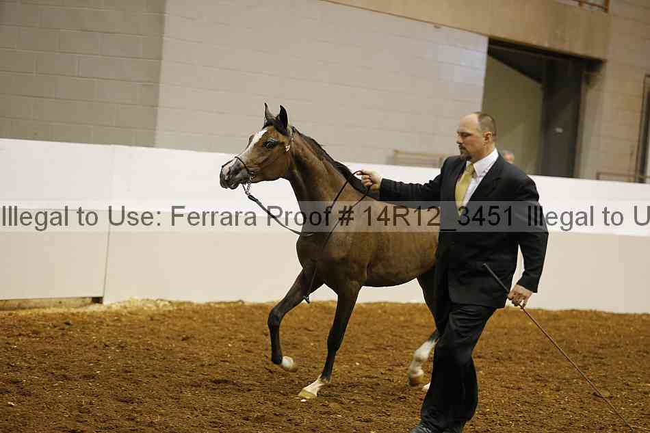 Proof 14r12_3451