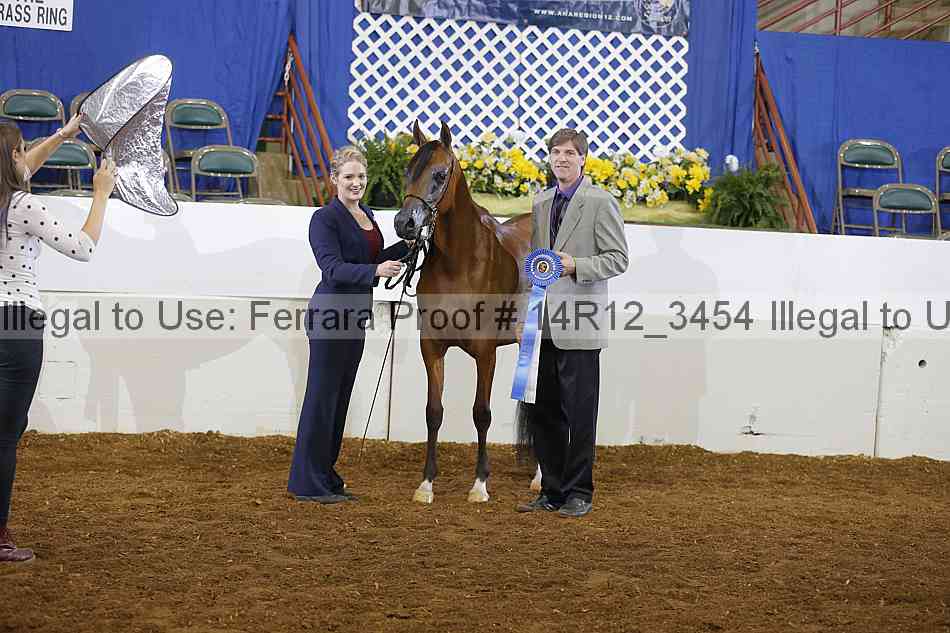 Proof 14r12_3454