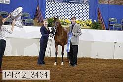 14r12_3454 proof