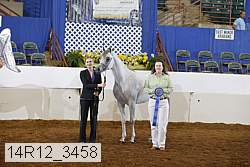 14r12_3458 proof