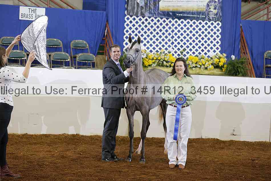 Proof 14r12_3459