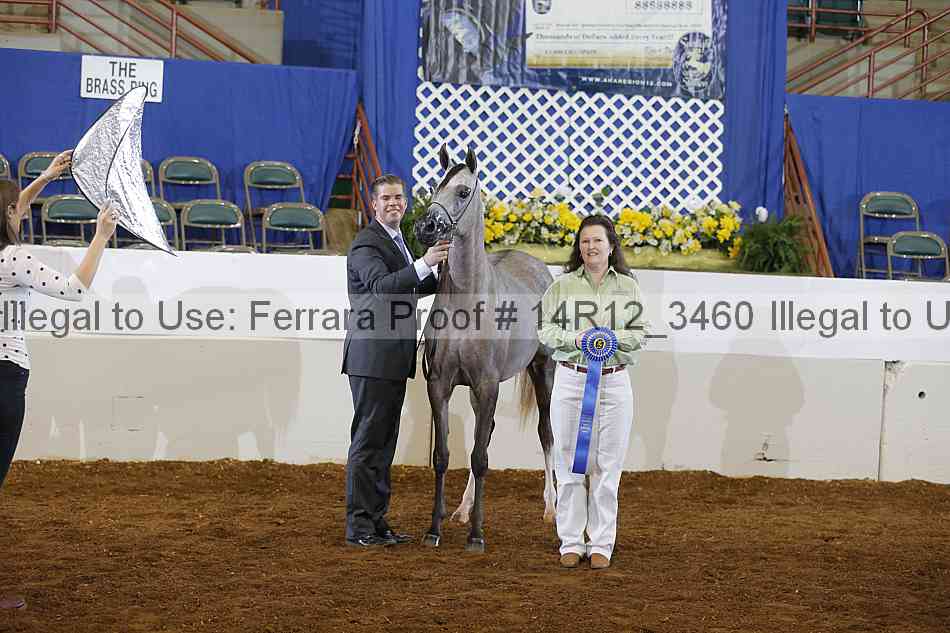 Proof 14r12_3460