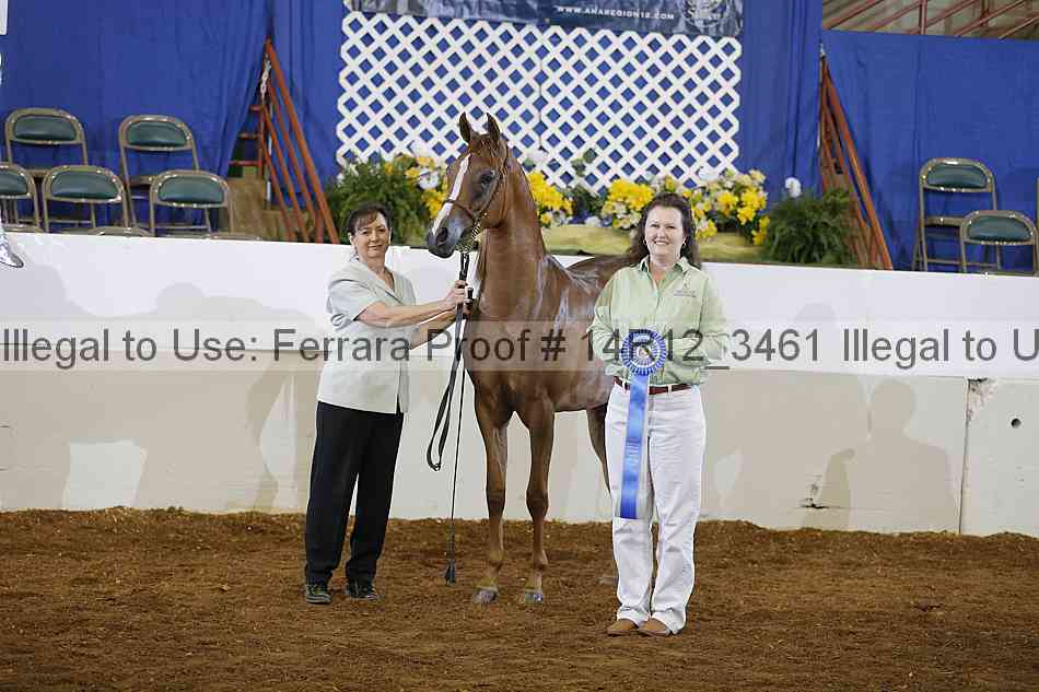 Proof 14r12_3461