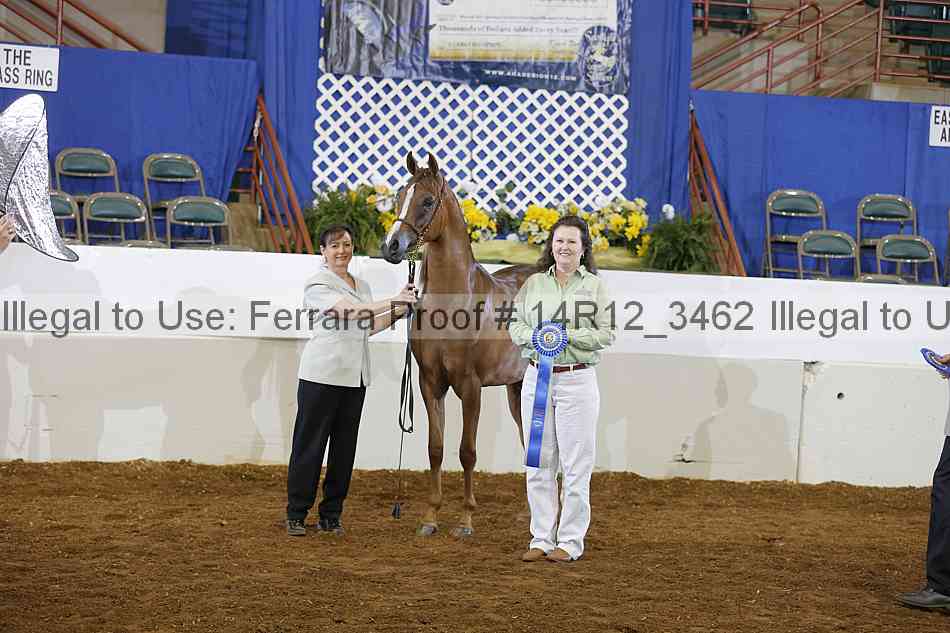 Proof 14r12_3462