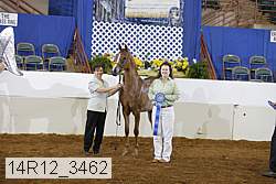 14r12_3462 proof