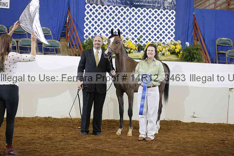 Proof 14r12_3463