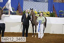 14r12_3463 proof