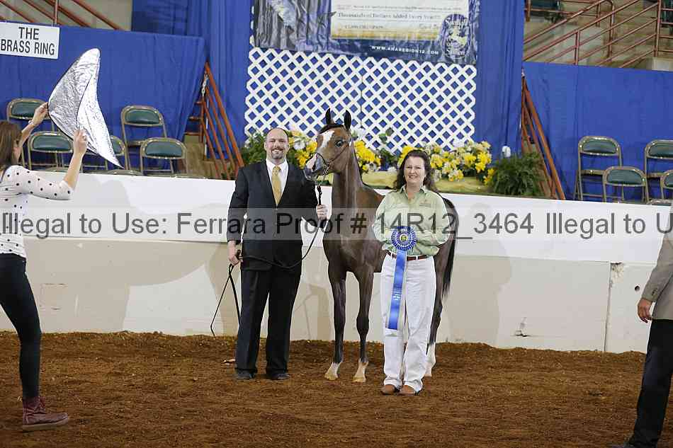 Proof 14r12_3464