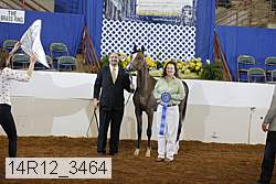 14r12_3464 proof